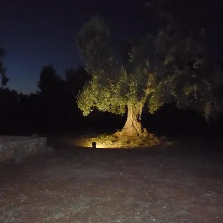 Ferienhaus Trullo Votano Rosso